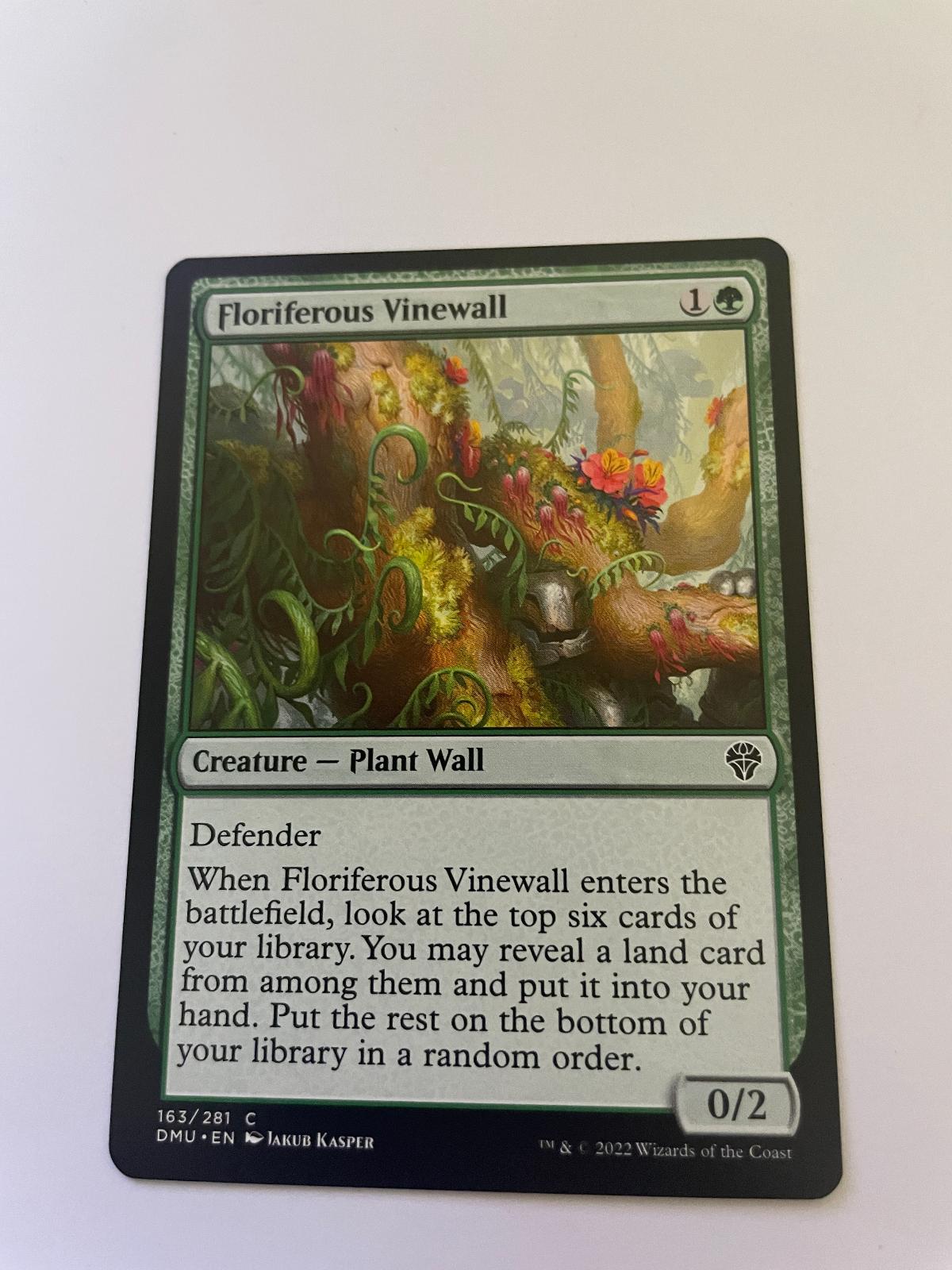 Floriferous Vinewall 163 Common Dominaria United Magic: The Gathering Near Mint
