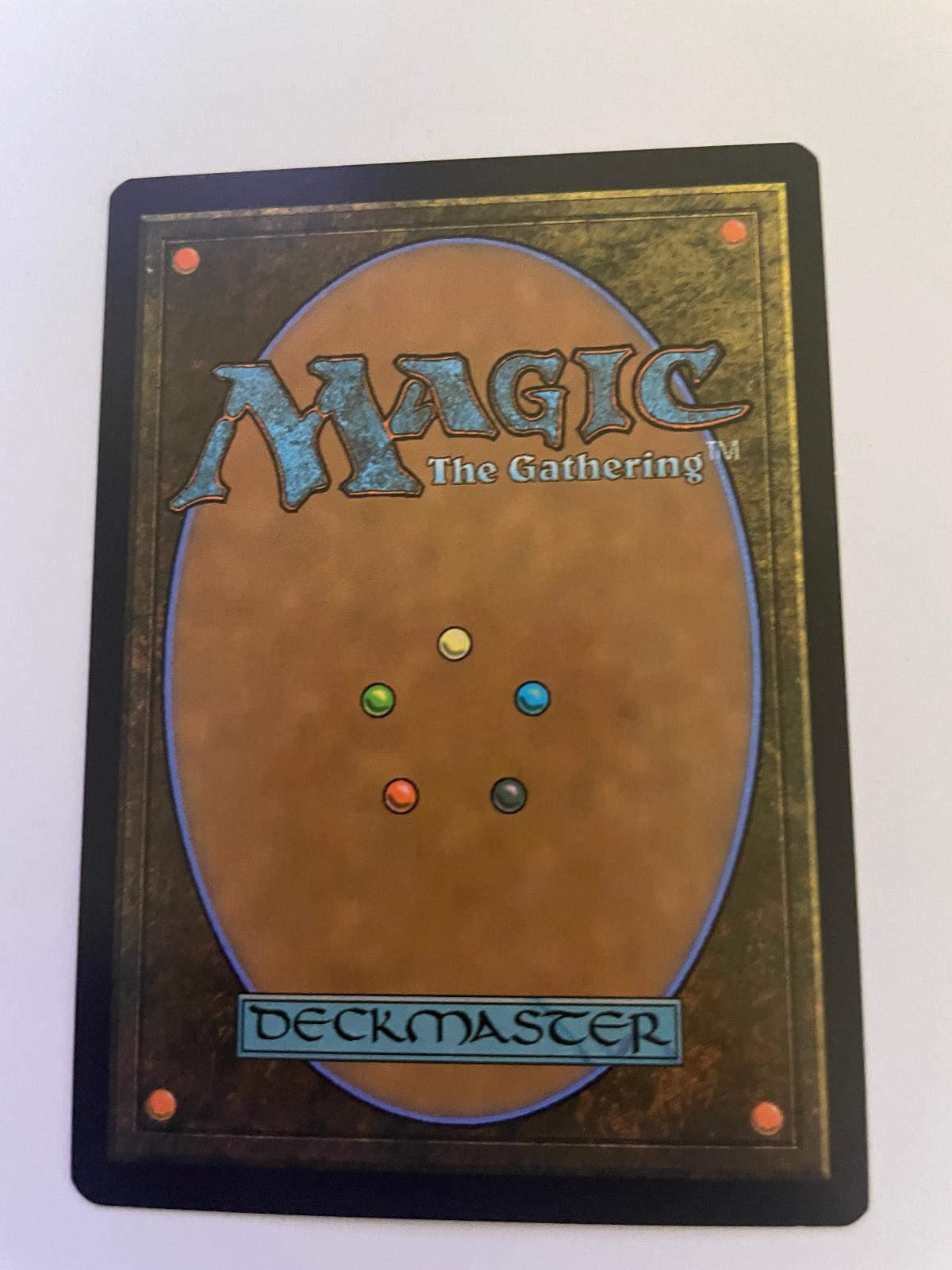 Lightshell Duo 157 Common Foundations Magic: The Gathering Near Mint