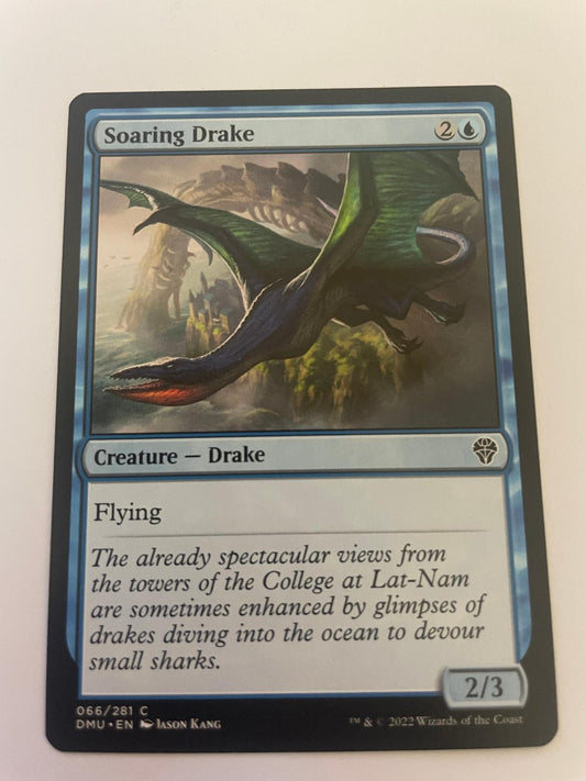 Soaring Drake 66 Common Dominaria United Magic: The Gathering Near Mint