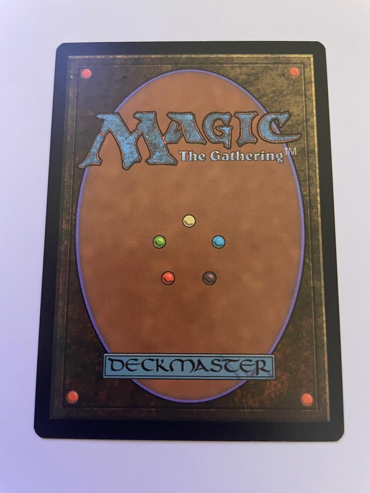 Sunbathing Rootwalla 181 Common Dominaria United Magic: The Gathering Near Mint