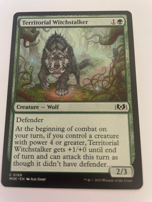 Territorial Witchstalker 189 Common Wilds of Eldraine Magic: The Gathering NM