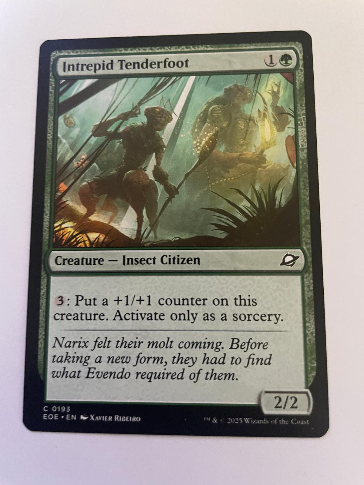 Intrepid Tenderfoot 193 Common Edge of Eternities Magic: The Gathering Near Mint