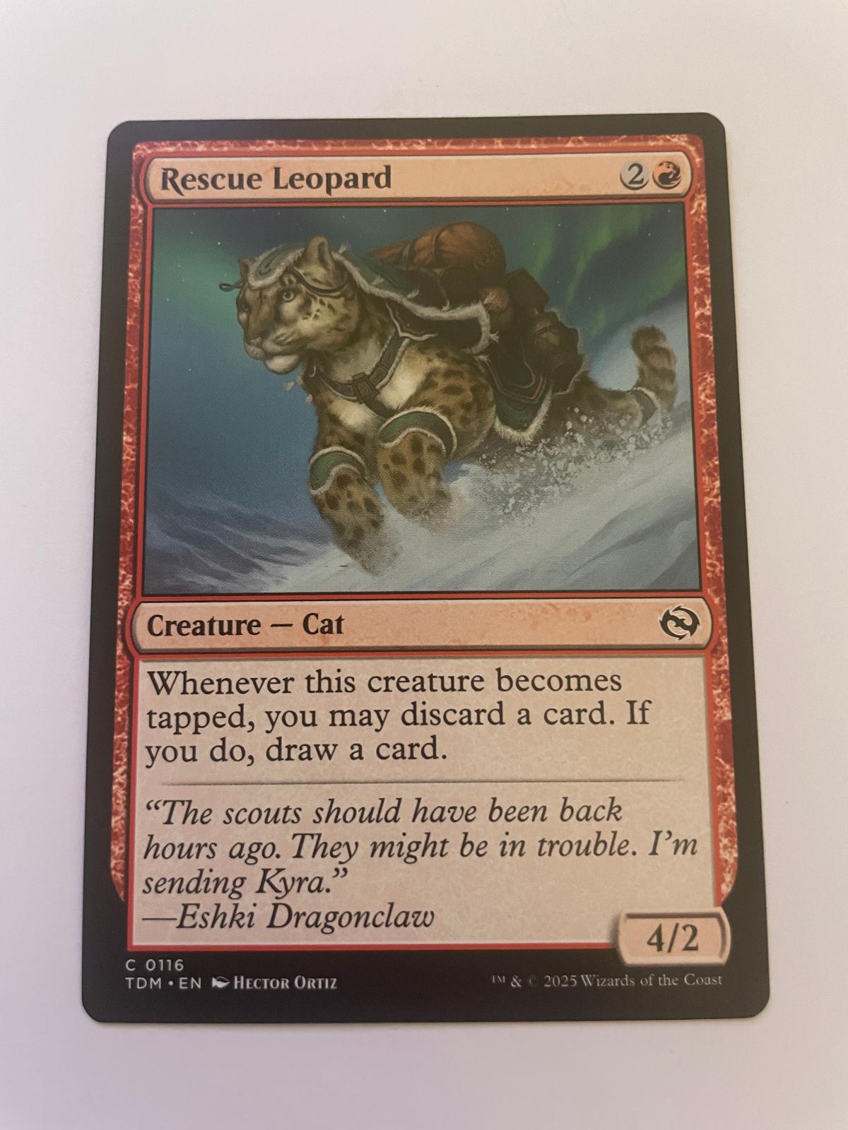 Rescue Leopard 116 Common Tarkir: Dragonstorm Magic: The Gathering Near Mint